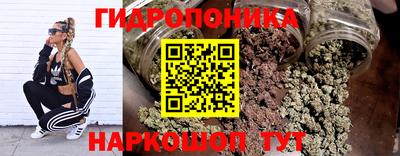 индика Краснокаменск