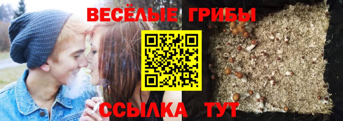 Псилоцибиновые грибы мухоморы Североуральск