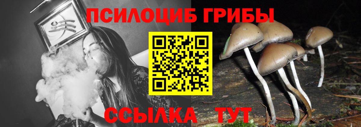 Галлюциногенные грибы MAGIC MUSHROOMS  Псилоцибиновые грибы Psilocybine cubensis  Североуральск  Вход с VPN 